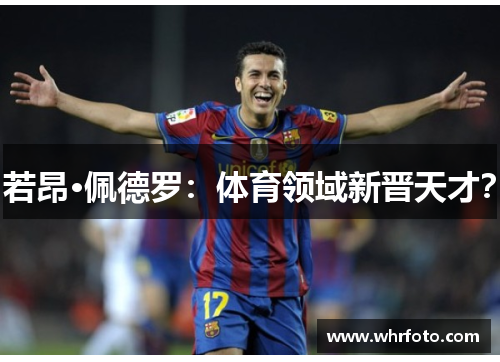 若昂·佩德罗：体育领域新晋天才？